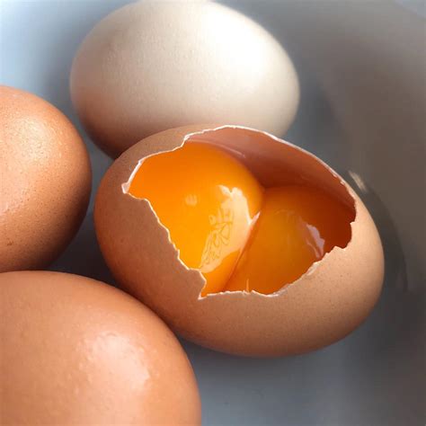 Double yolks and their connection to abundance and prosperity